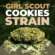 Girl Scout Cookies Strain: Genetics, Effects & How to Grow