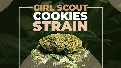 Girl Scout Cookie
