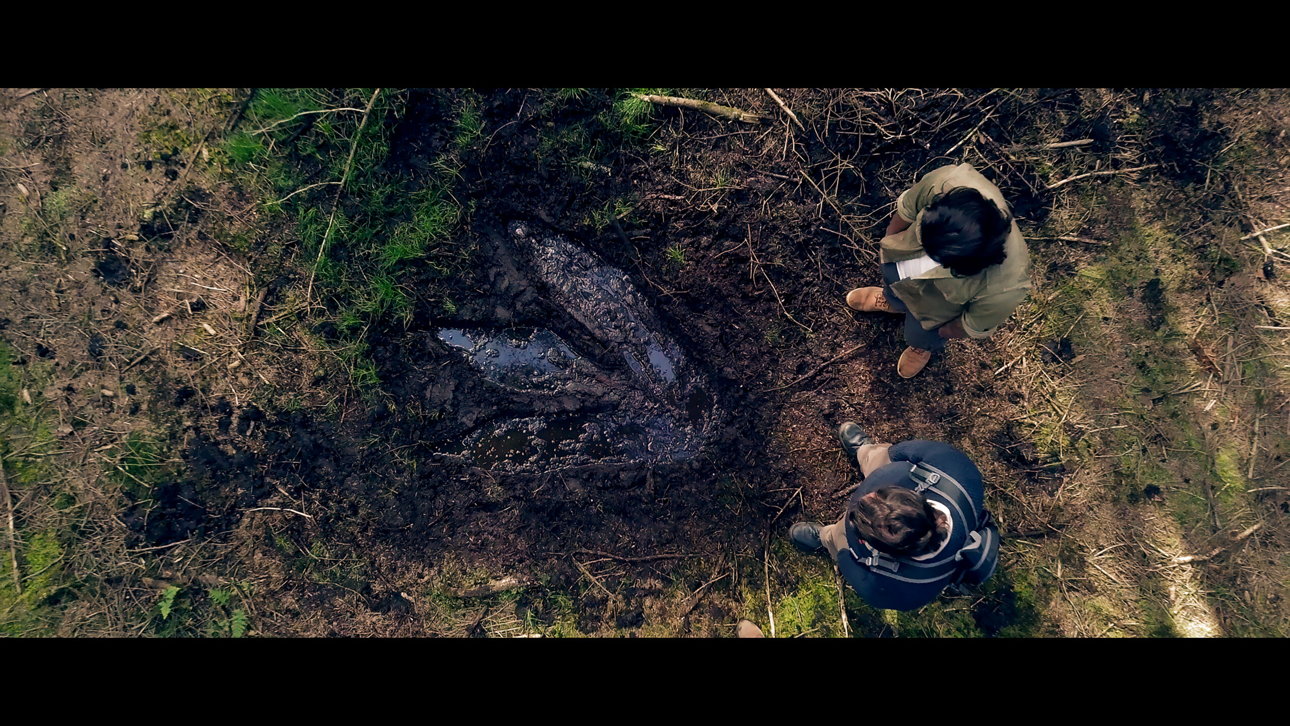 Jurassic Island