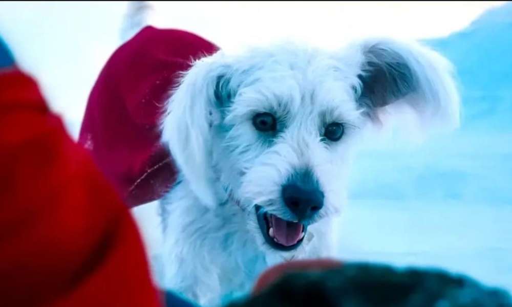 Krypto Superman Movie 2025