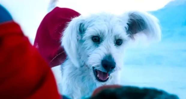 Krypto Superman Movie 2025