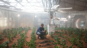 martian-gallery13-gallery-image