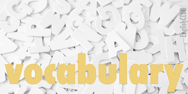 What is Vocabulary?