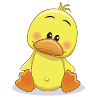 duck