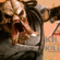 Predator: Killer of Killers Will Leave You Begging for More
